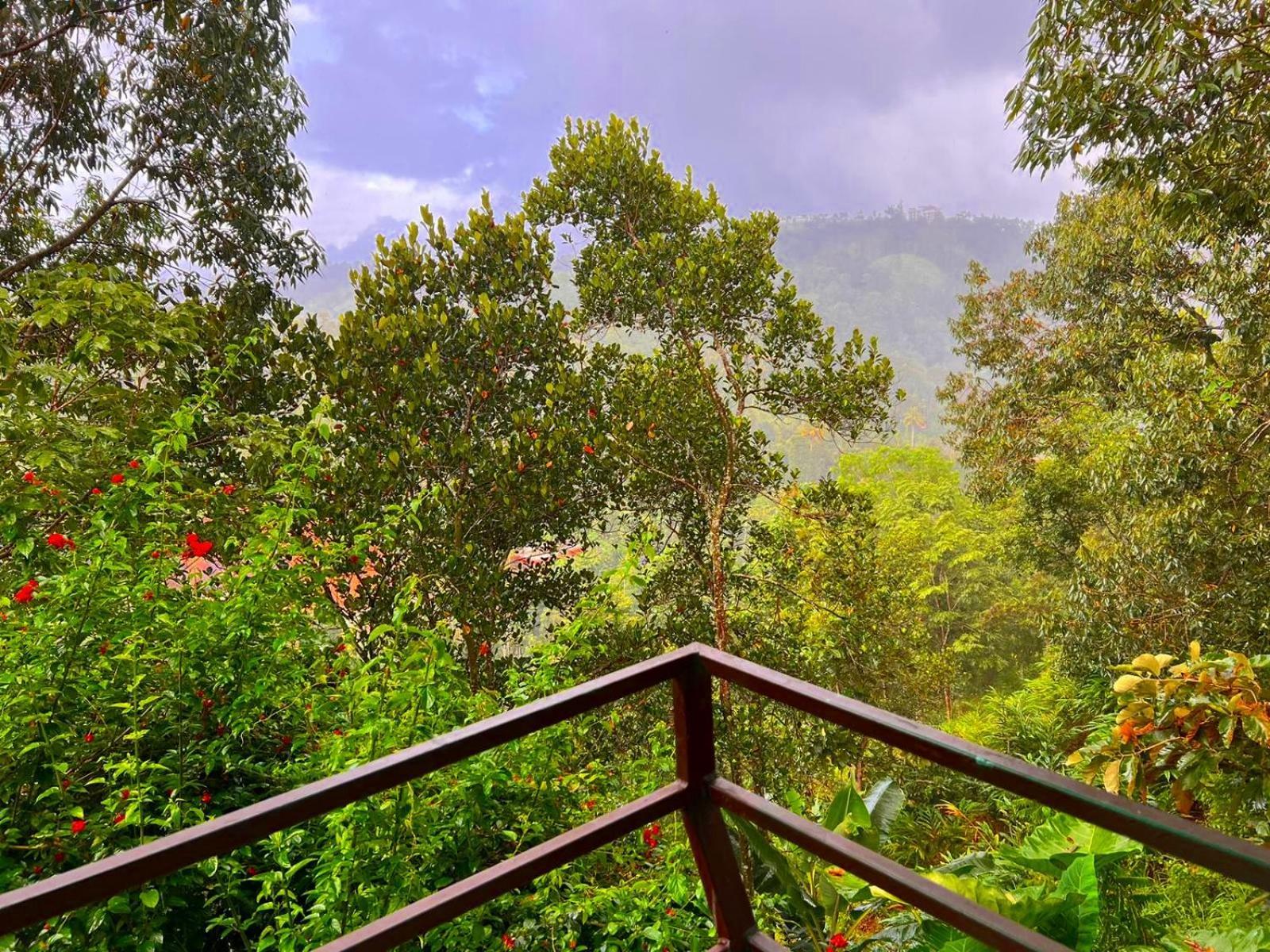 Misty Lake Resorts, Munnar Exteriér fotografie