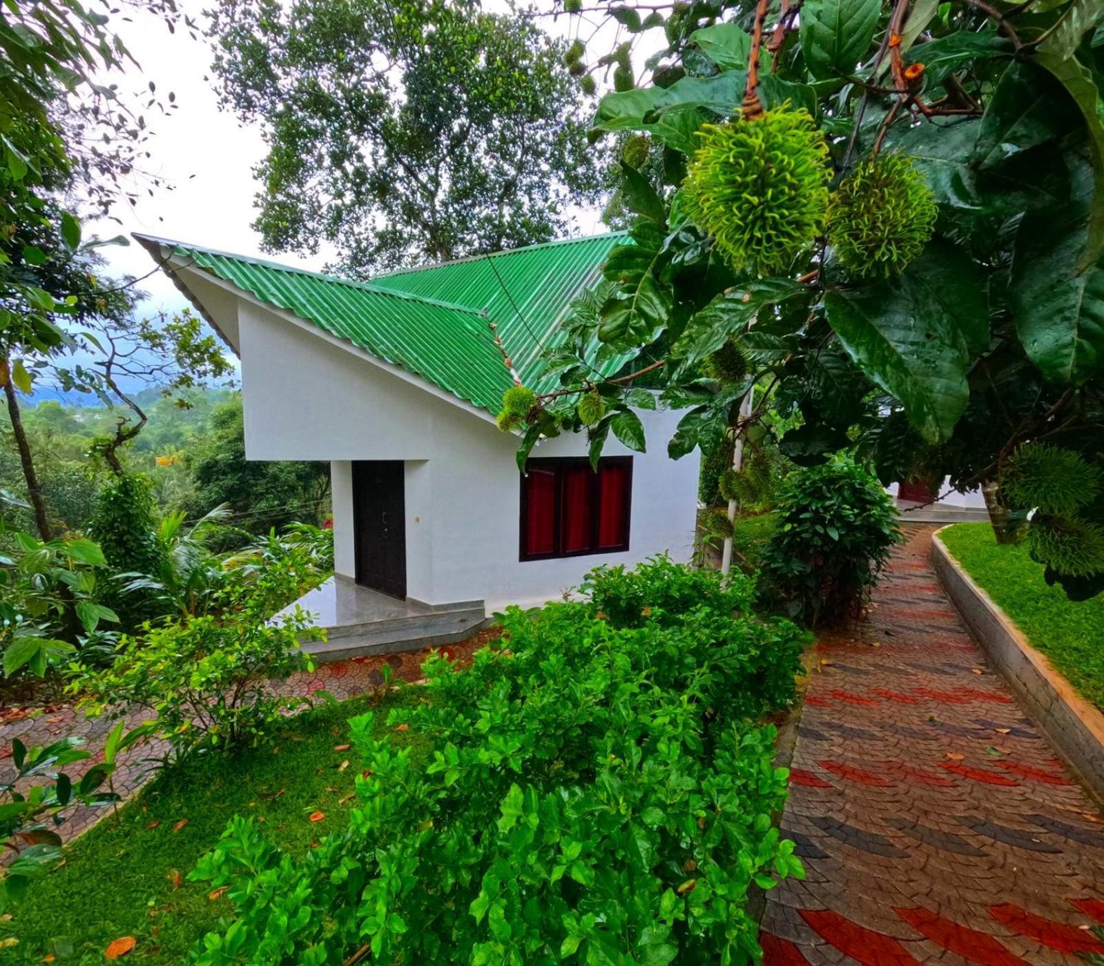 Misty Lake Resorts, Munnar Exteriér fotografie